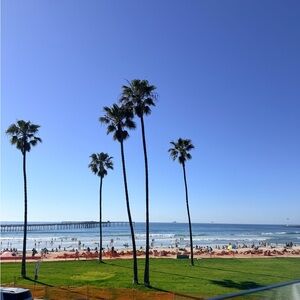 Meet your Posher, Cicily